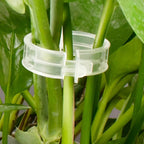 (100Pcs) Plant Clips for Climbing