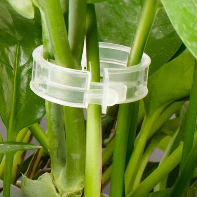 (100 Pcs) Plant Clips for Climbing