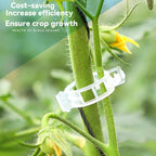 (50 Pcs)- Plant Clips for Climbing