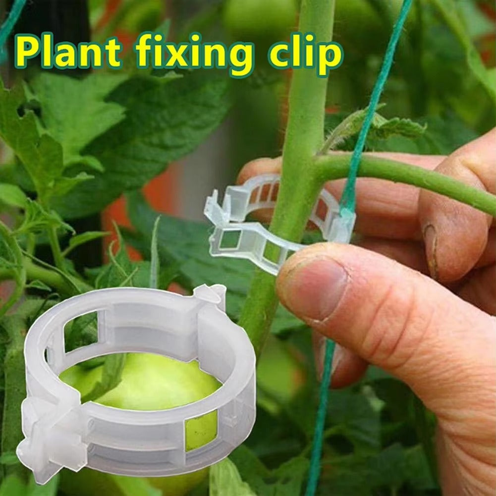 (50 Pcs)- Plant Clips for Climbing